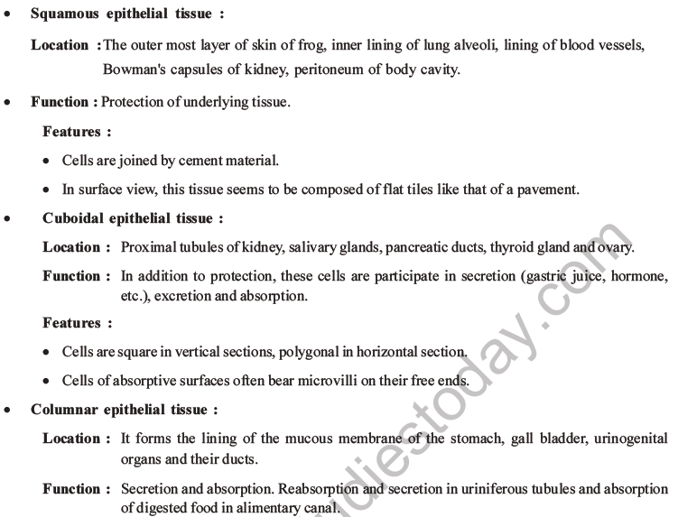 NEET Biology Animal Tissues MCQs Set A, Multiple Choice Questions